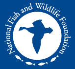 National Fish and Wildlife Foundation