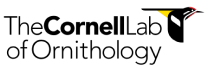 the-cornell-lab